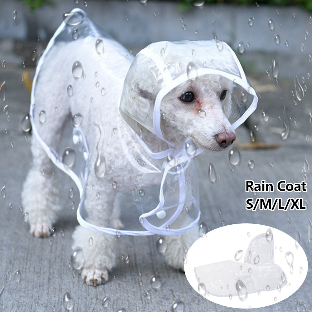 RainCoat for Dachshunds