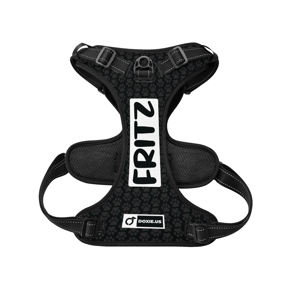 Hans -  Personalized No-Pull Dachshund Dog Harness