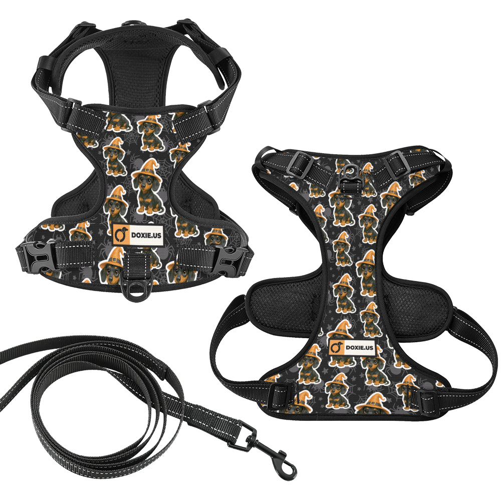 Roxy -  No-Pull Dachshund Dog Harness