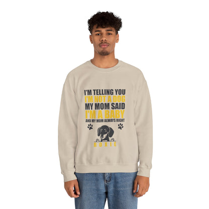Custom Sweatshirt  with dachshund Name  -  Unisex Sweatshirt