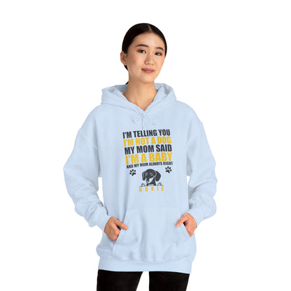 Custom Hoodie with dachshund Name  - Unisex Hoodie