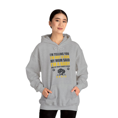 Custom Hoodie with dachshund Name  - Unisex Hoodie