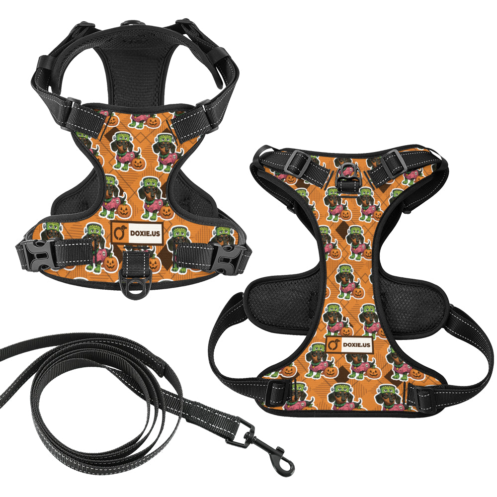 Willow -  No-Pull Dachshund Dog Harness