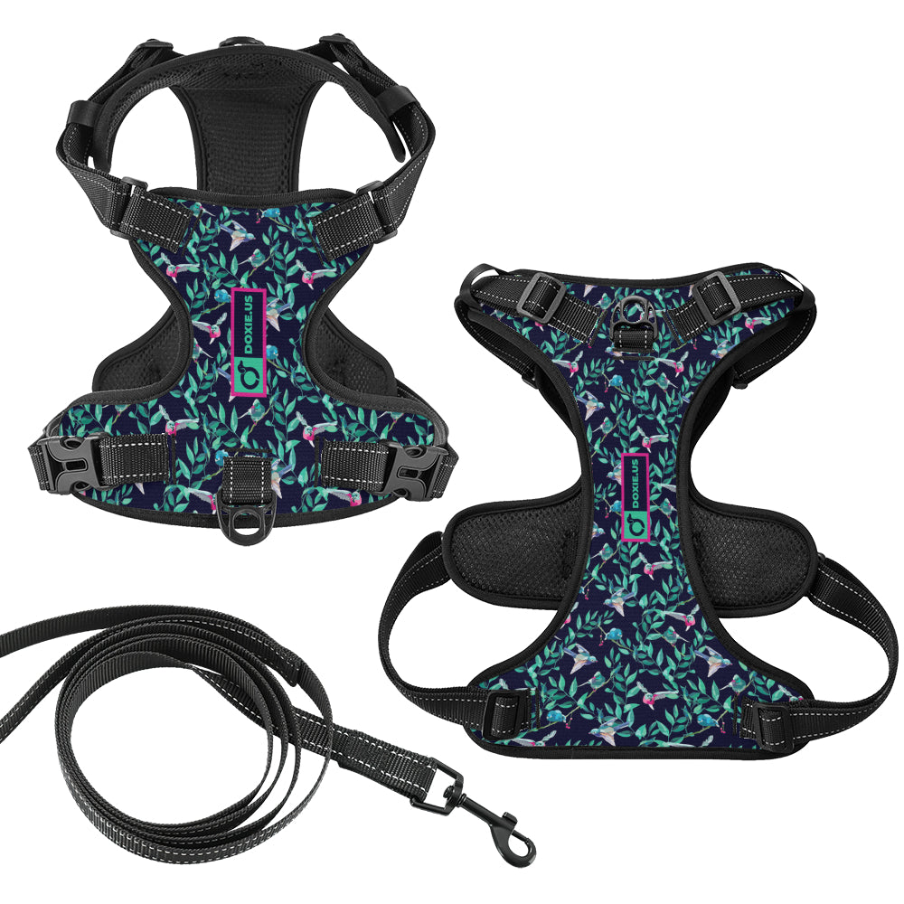 Sophie -  No-Pull Dachshund Dog Harness