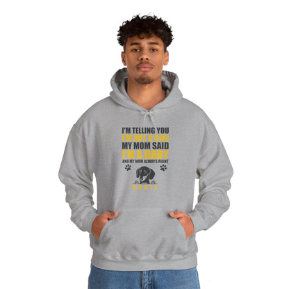 Custom Hoodie with dachshund Name  - Unisex Hoodie