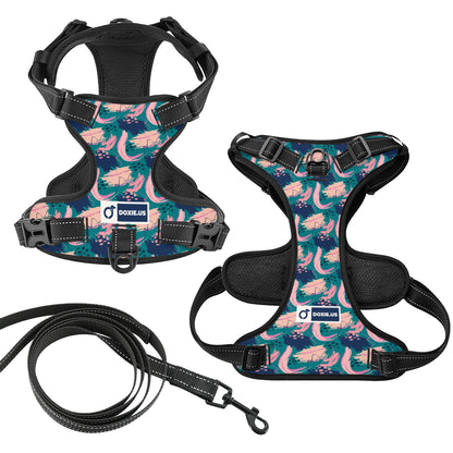 Johann -  No-Pull Dachshund Dog Harness