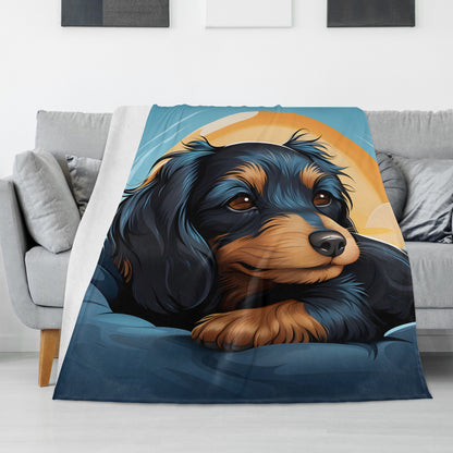 Biscuit -  Blanket