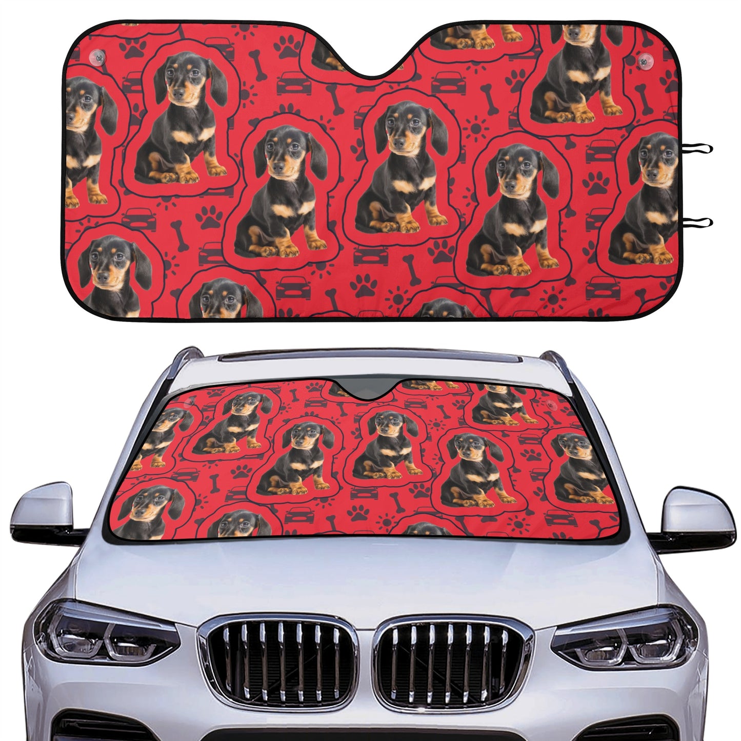 Custom car sun shade with Dachshund Photo