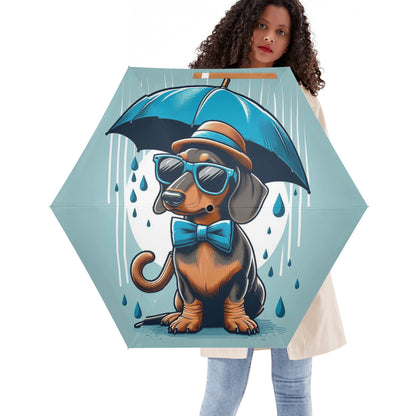 Paisley - Umbrella