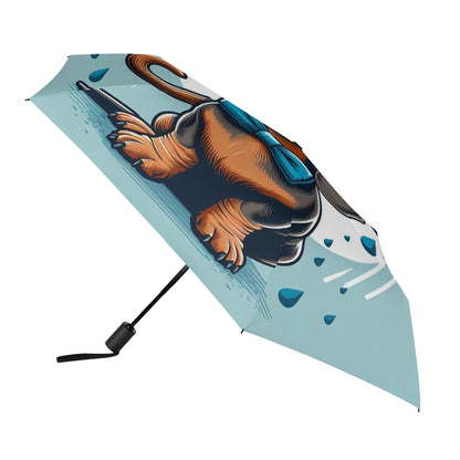 Paisley - Umbrella