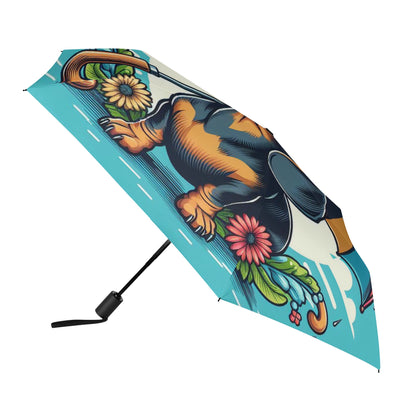 Sylvia - Umbrella