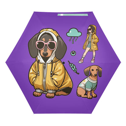 Collie - Umbrella