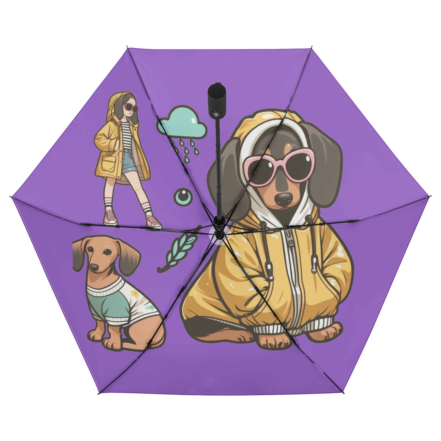 Collie - Umbrella