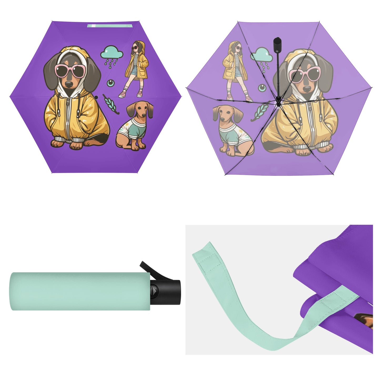 Collie - Umbrella