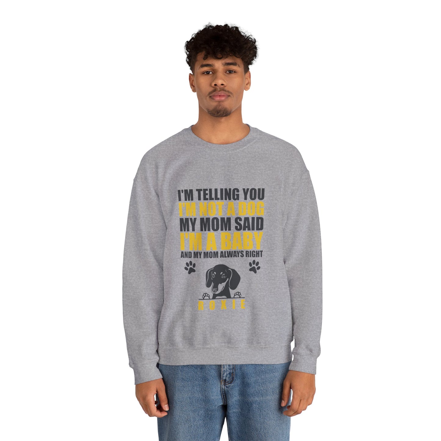 Custom Sweatshirt  with dachshund Name  -  Unisex Sweatshirt