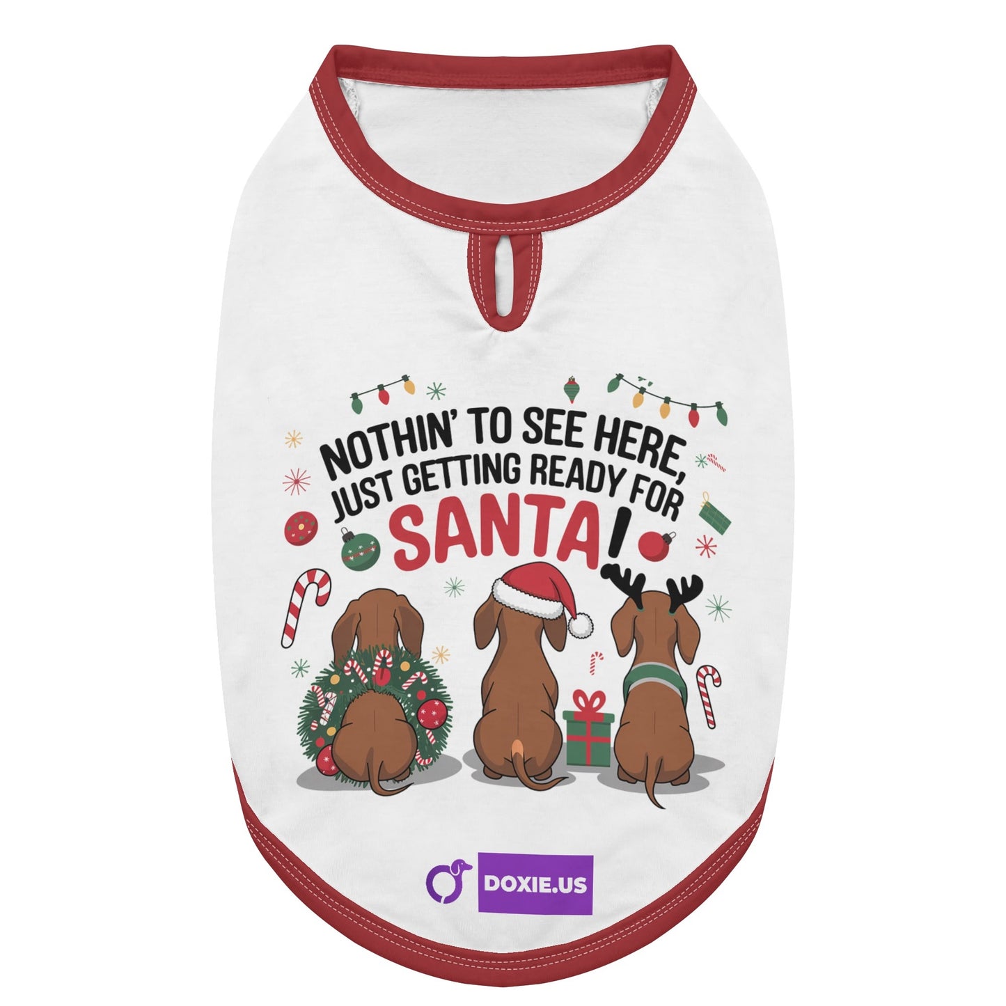 Buddy -  Shirt for Dachshunds