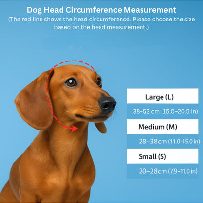 Outdoor Dachshund Goggles – Lightweight UV-Resistant Windproof Sunglasses