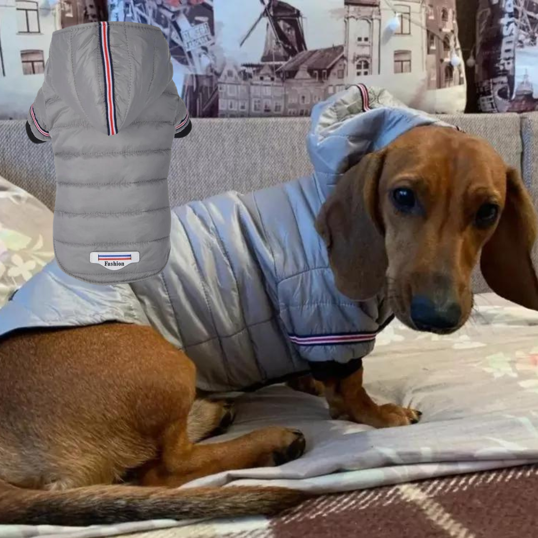 FurFluff Cozy Dachshund Puffer Jacket