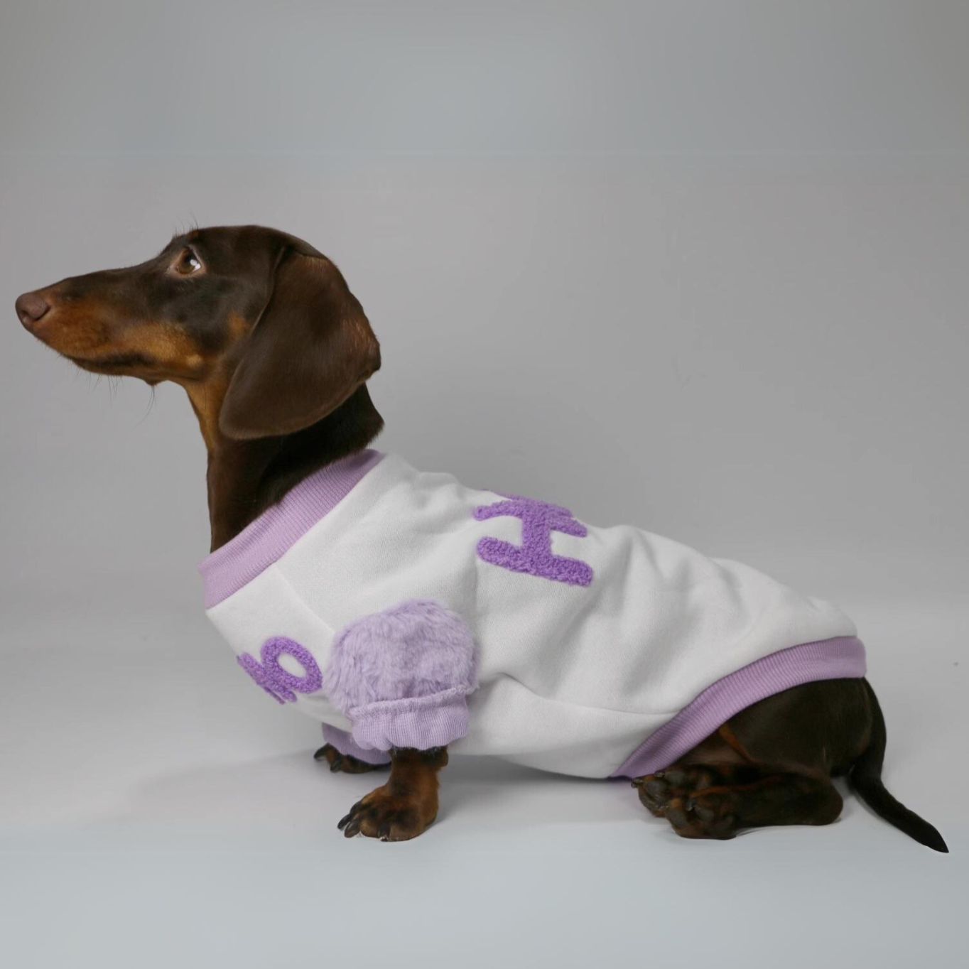 Stylish Dachshund Sweater with Plush Accents