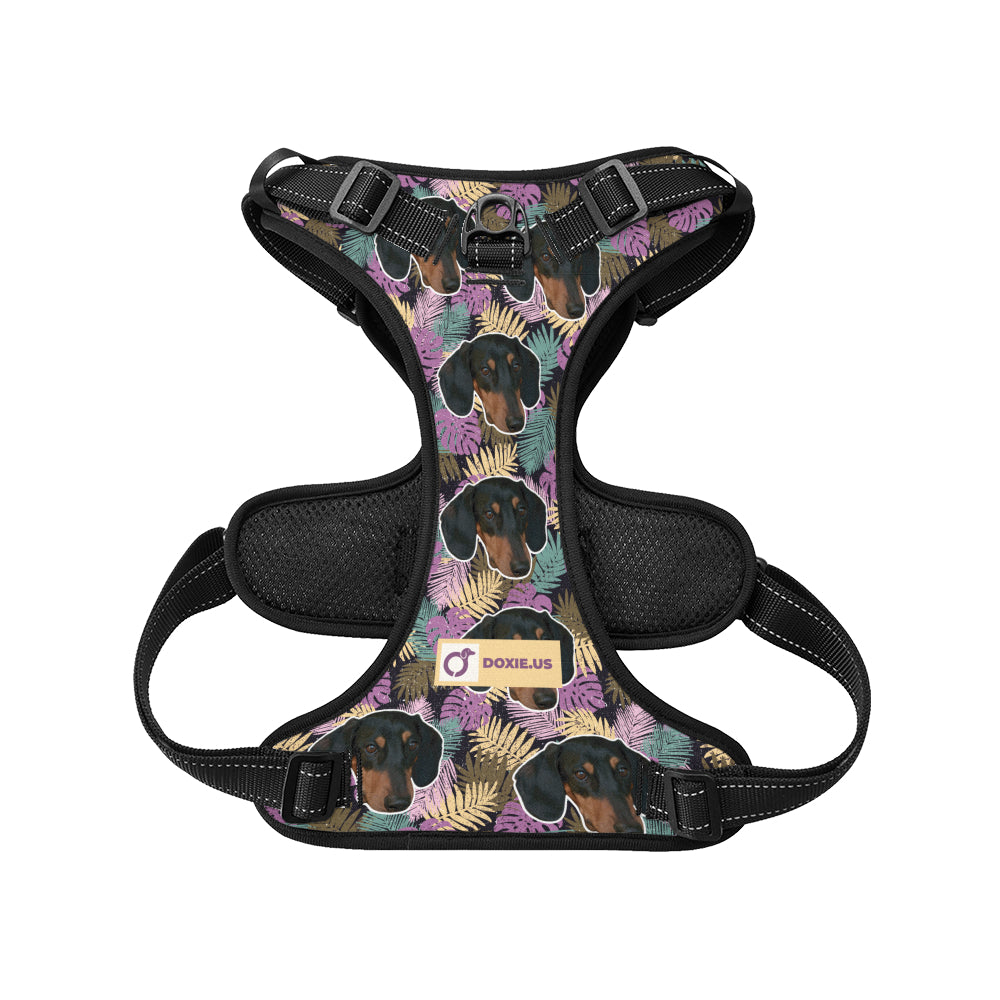 Earl -  Personalized No-Pull Dachshund Dog Harness