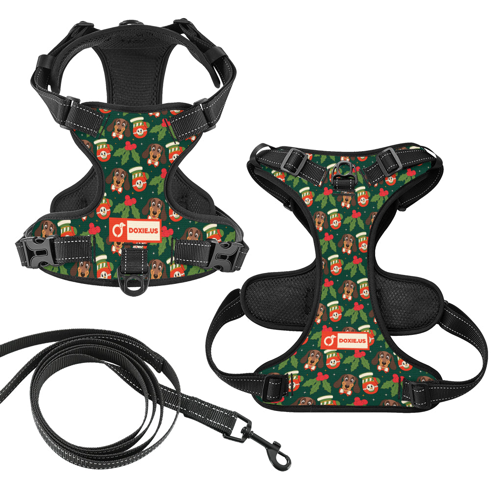 Bailey -  No-Pull Dachshund Dog Harness