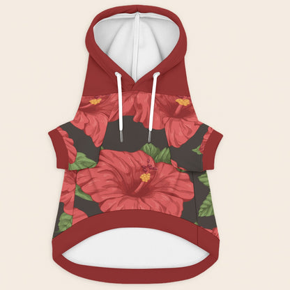 Iggy - Dachshund hoodie