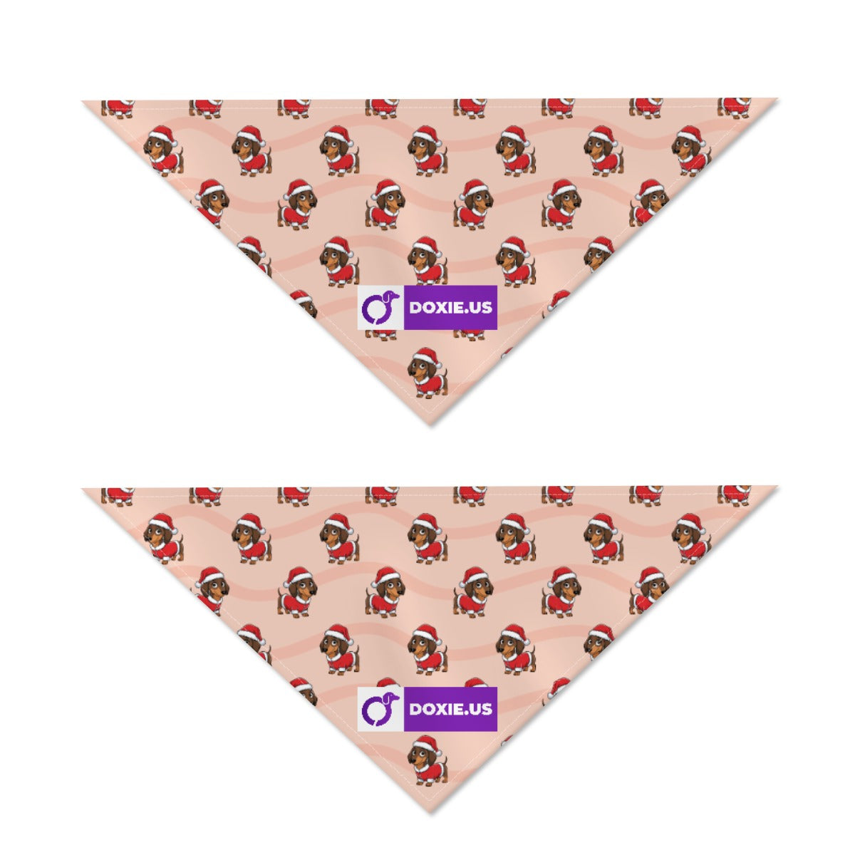 Roxy - Bandanas for Dachshunds