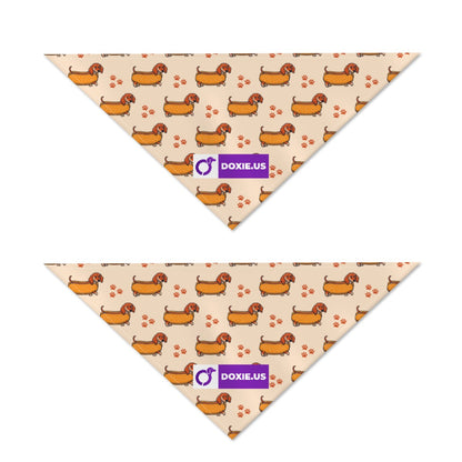 Tucker - Bandanas for Dachshunds
