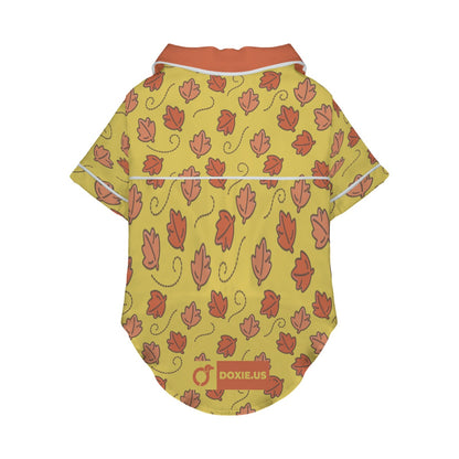 Lenny  -  Pajamas for Dachshund