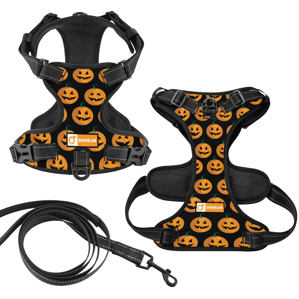 Stella -  No-Pull Dachshund Dog Harness