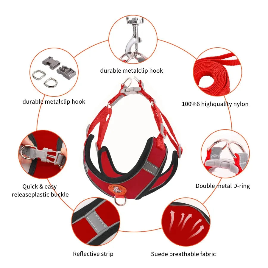 Dachshund Harness Leash Set – Adjustable Soft Vest No-Pull