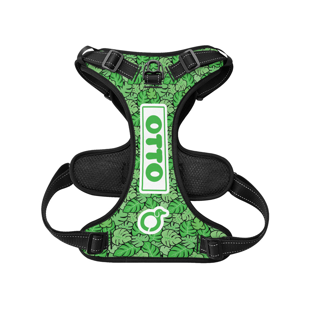 Heinz - Personalized No-Pull Dachshund Dog Harness