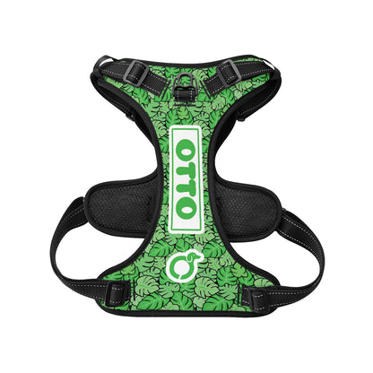 Heinz - Personalized No-Pull Dachshund Dog Harness