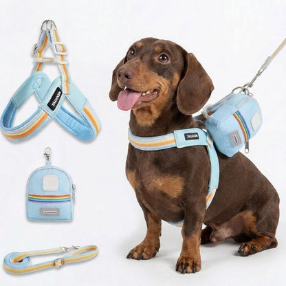 DoxiBloom Dachshund Harness Leash Set – Soft Adjustable Dog Walking Set with Mini Backpack