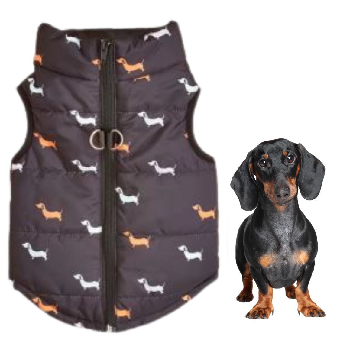 Dachshund Winter Zipper Coat - Windproof Warm Vest for Small Pets