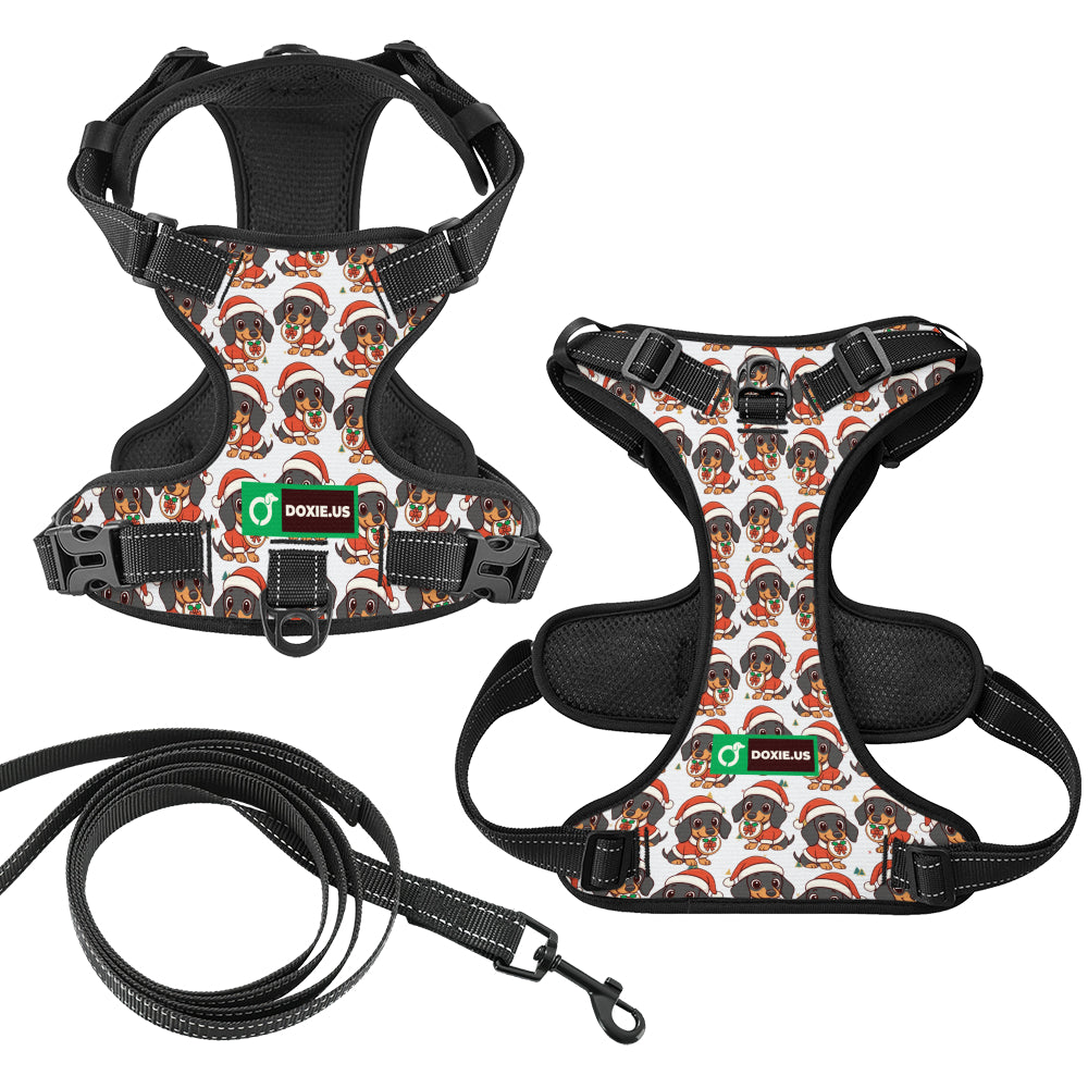 Kevin -  No-Pull Dachshund Dog Harness