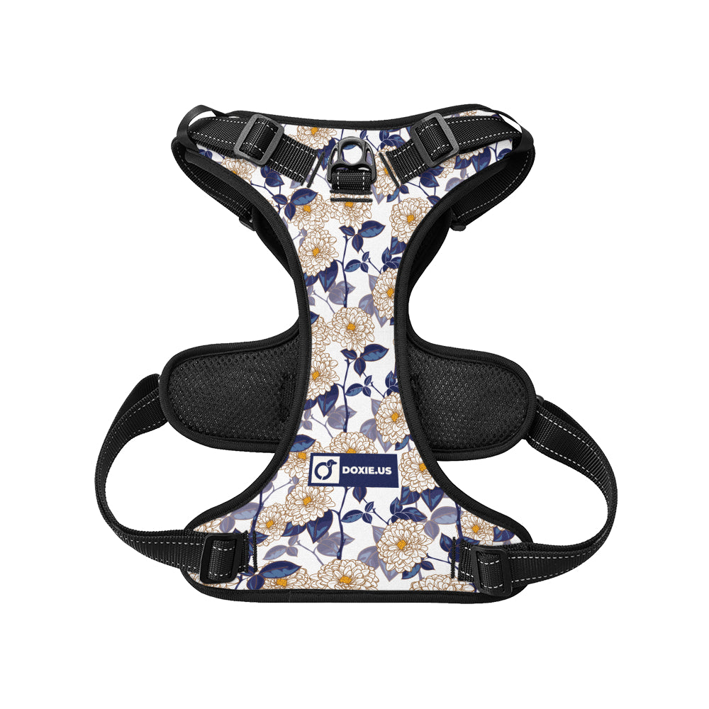 Joey -  No-Pull Dachshund Dog Harness