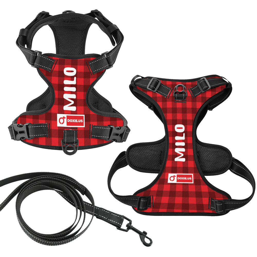 Lyra -  Personalized No-Pull Dachshund Dog Harness