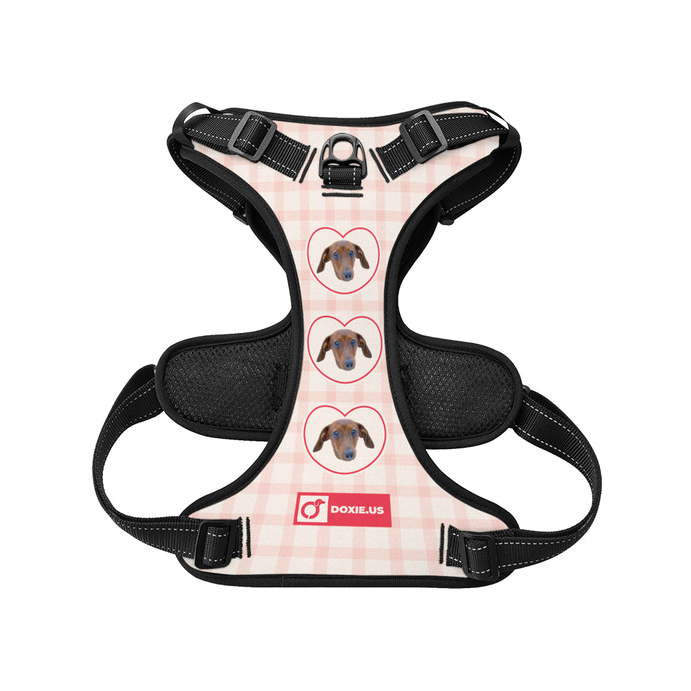 Juno -  Personalized No-Pull Dachshund Dog Harness