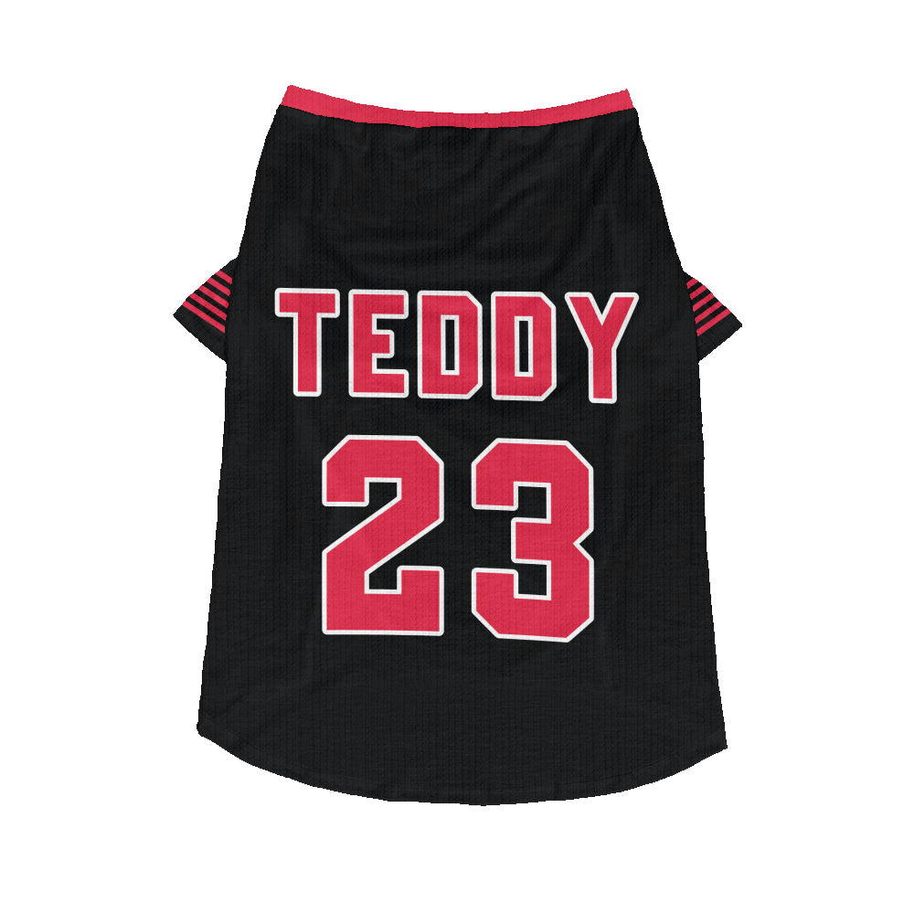 Zander - Personalized Wool Sweater for Doxie