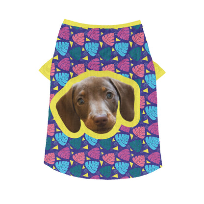 Kirby - Personalized Wool Sweater for Doxie