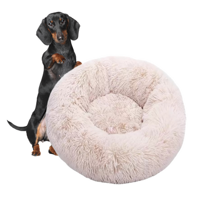 www.doxie.us-WoofLuxe-Dachshund-Donut-Bed