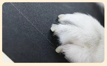 Dachshund Nail Scratching Pad – Self-Grooming Wooden Board for Healthy Paws