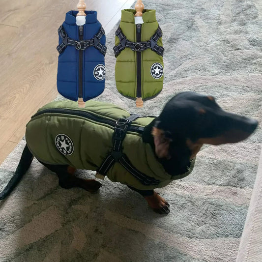 FrostGuard Chaqueta impermeable con arnés para perro salchicha de invierno