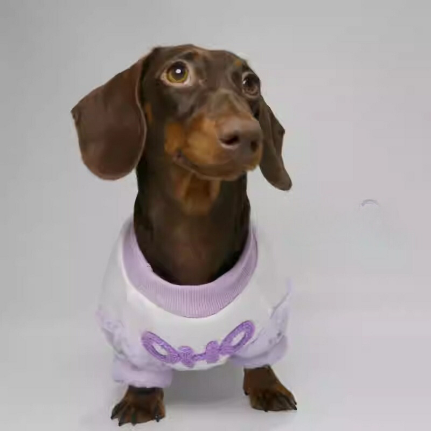 Stylish Dachshund Sweater with Plush Accents