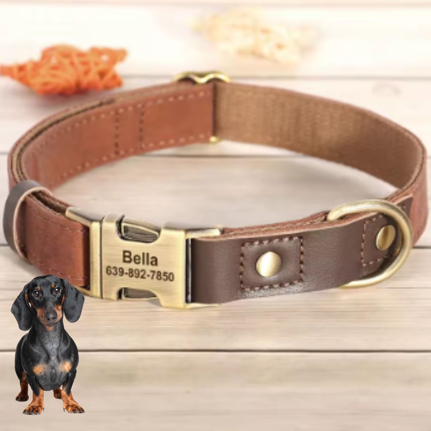 Dachshund Leather Collar with Leash – Personalized Engraved ID Adjustable