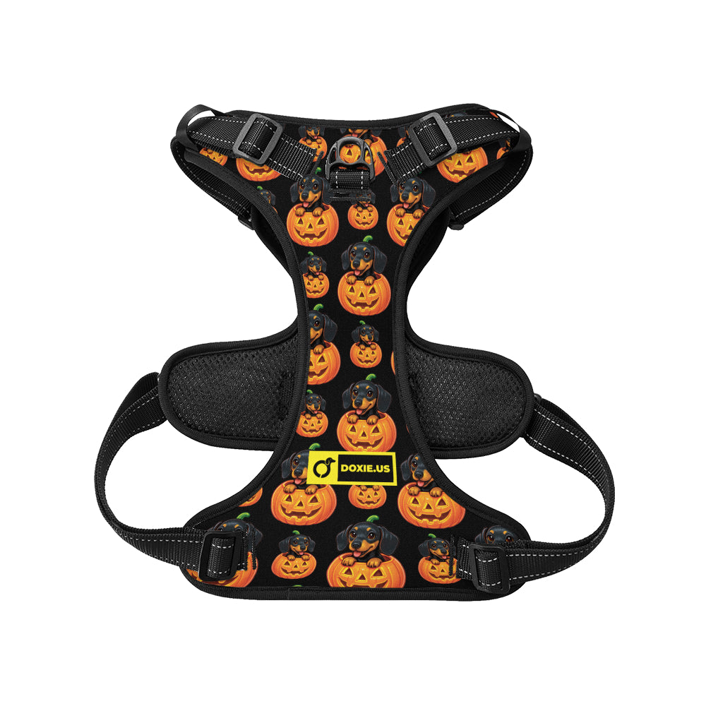 Sadie -  No-Pull Dachshund Dog Harness