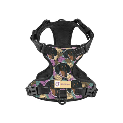 Earl -  Personalized No-Pull Dachshund Dog Harness