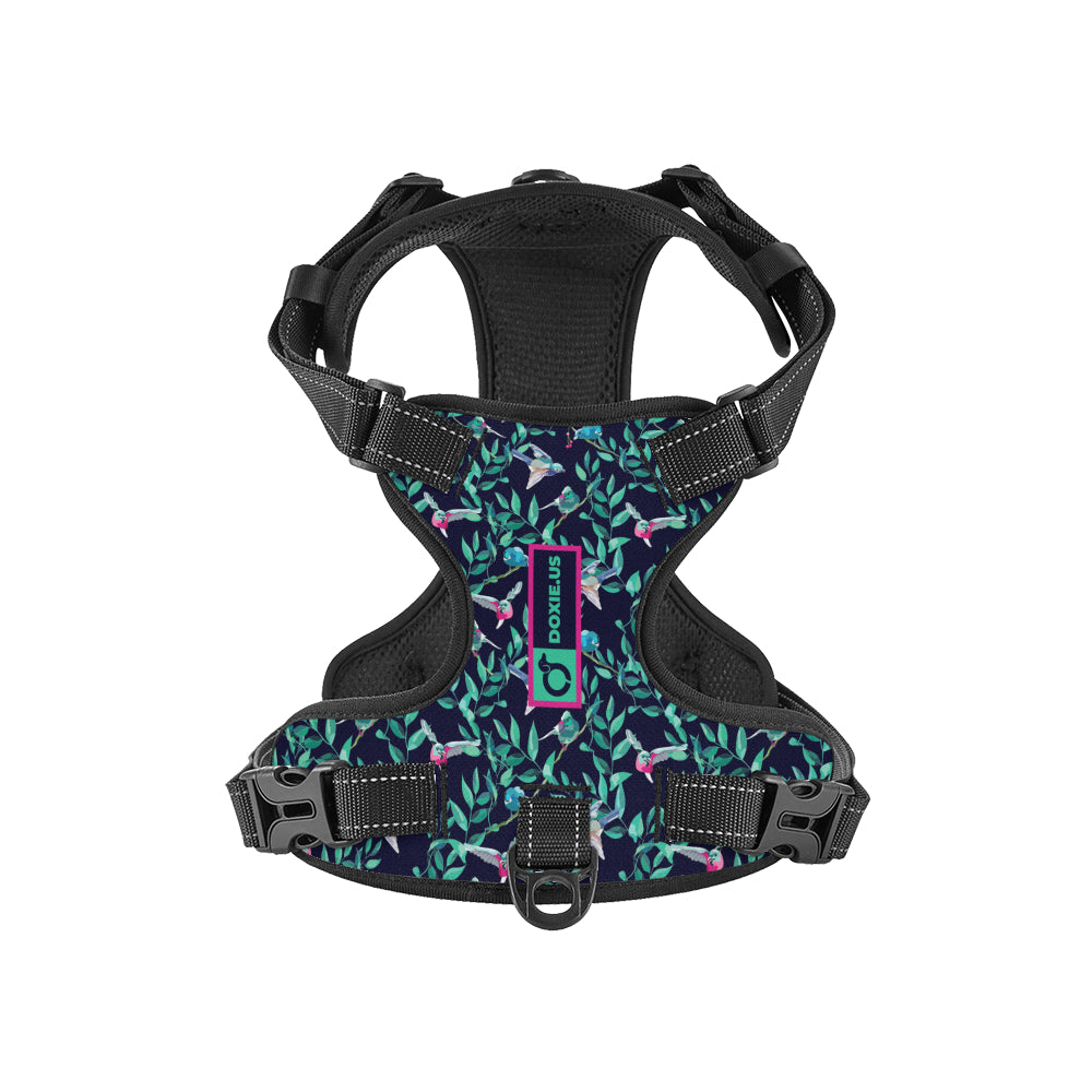 Sophie -  No-Pull Dachshund Dog Harness