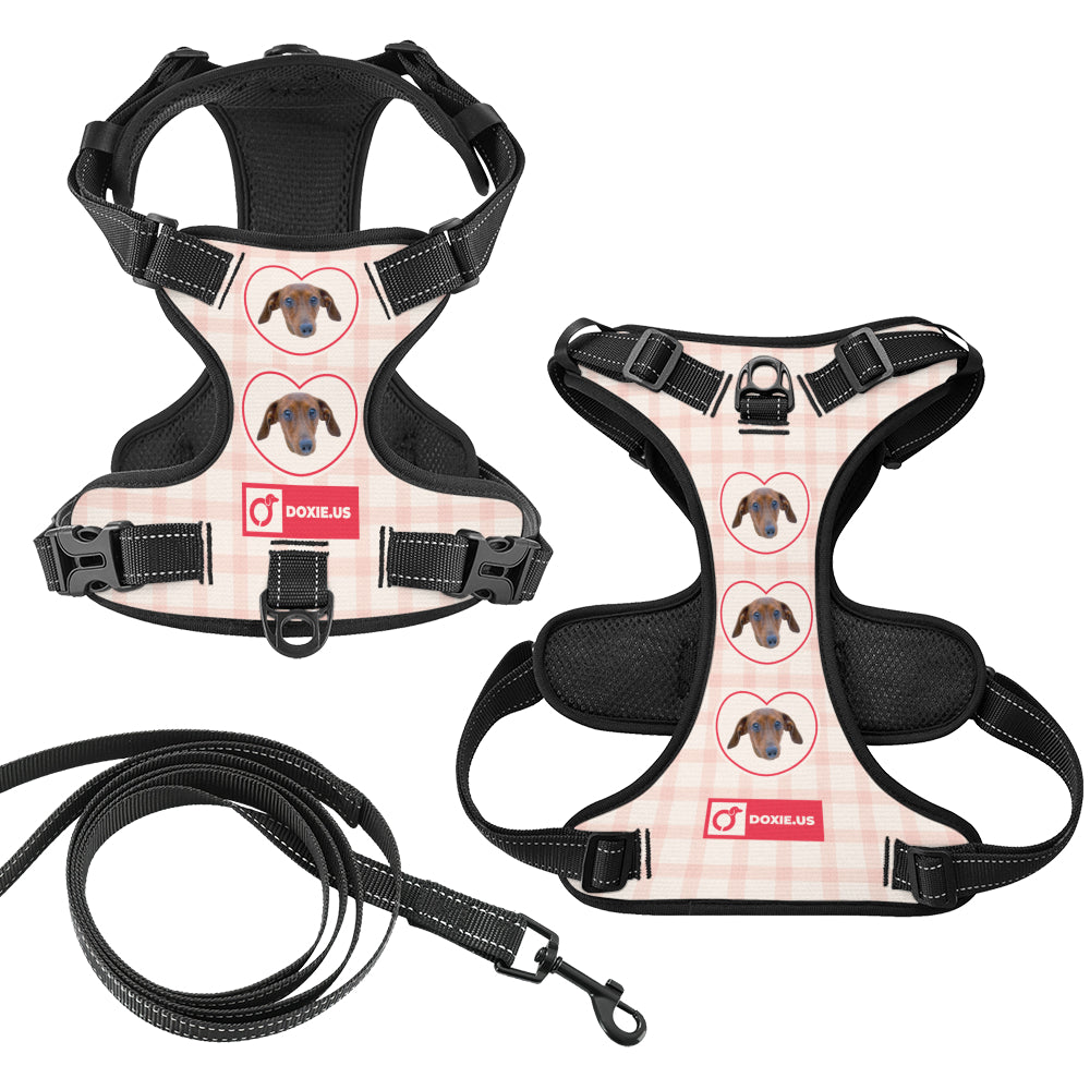 Juno -  Personalized No-Pull Dachshund Dog Harness